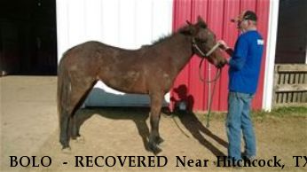 BOLO  - RECOVERED Near Hitchcock, TX, 77563